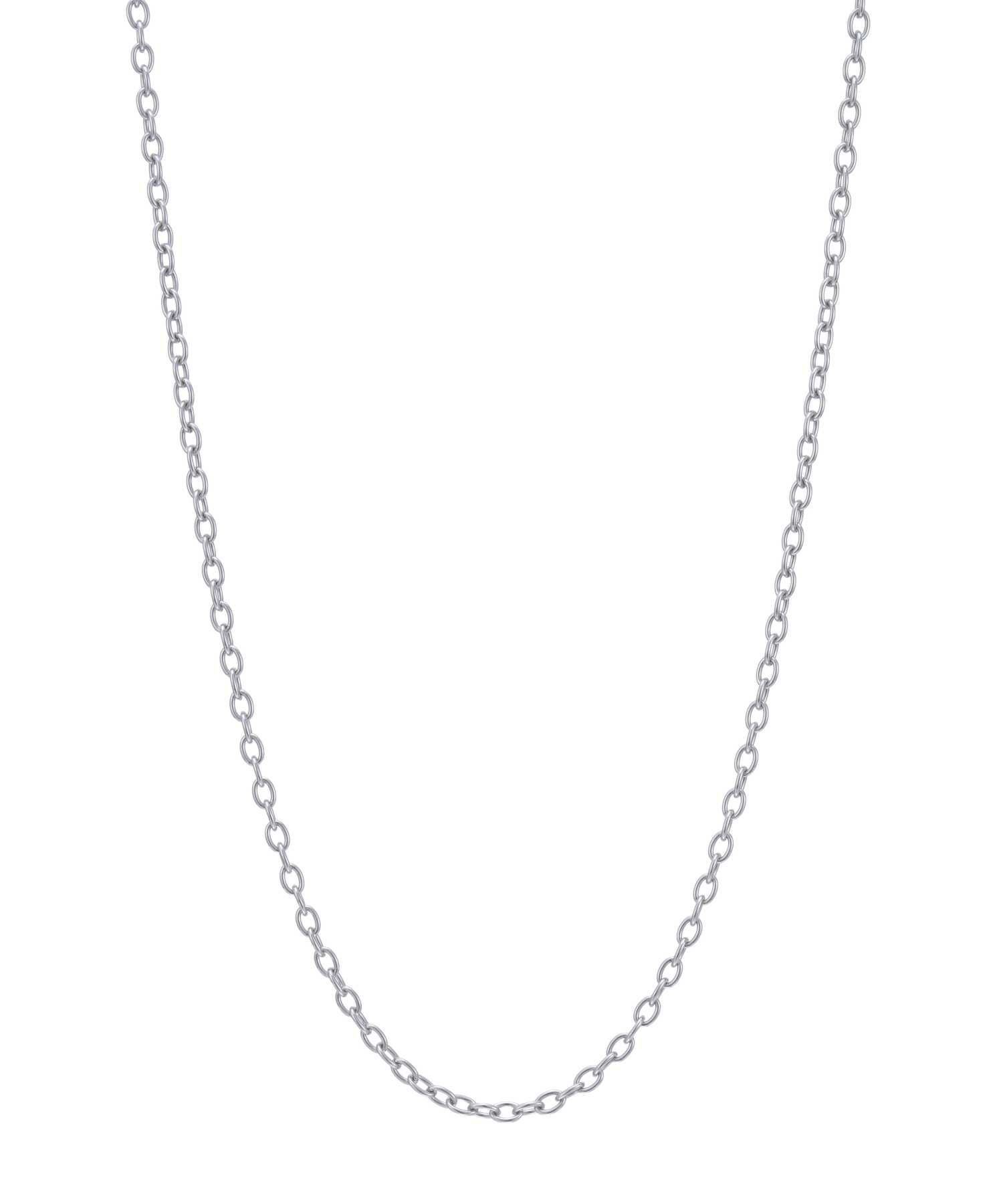 【WEB限定】スレンダリーチェーンネックレス/アズキ/サージカルステンレス