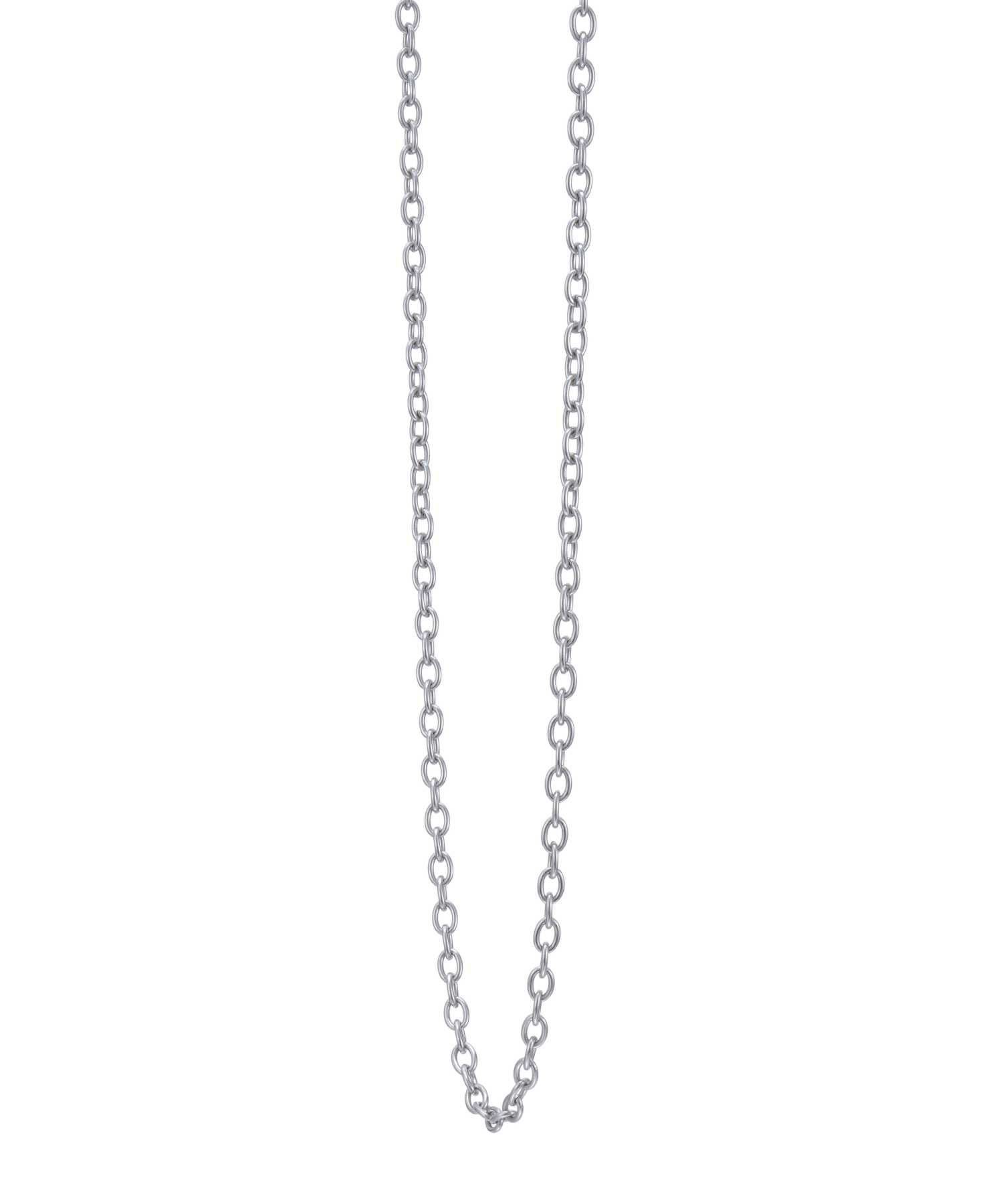 【WEB限定】スレンダリーチェーンネックレス/アズキ/サージカルステンレス